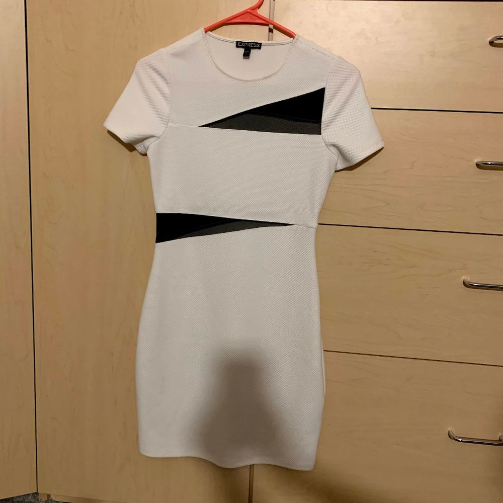 Express White with Black Mesh Dress, 2